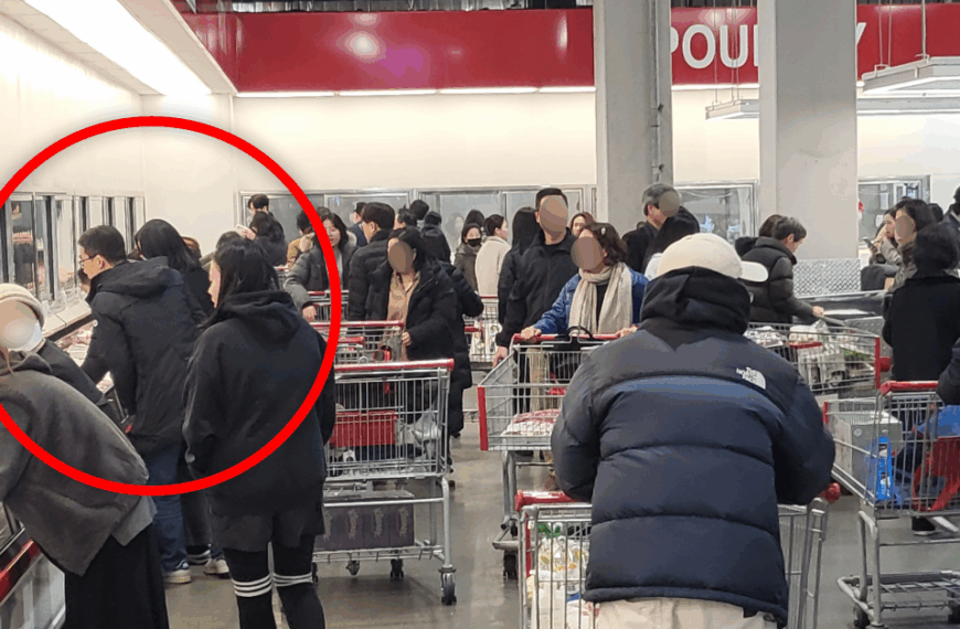 코스트코 음식 추천