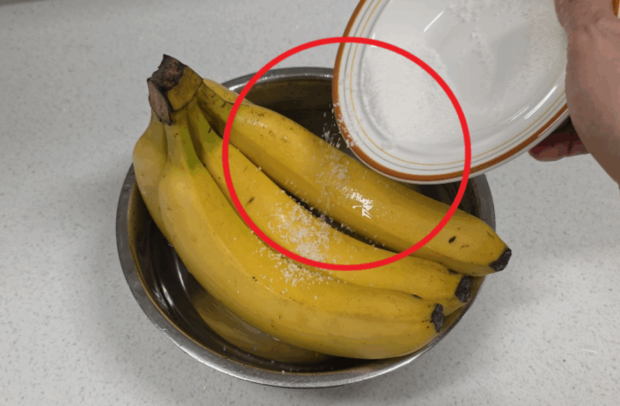 천재들은 이미 하고 있었다는 바나나 보관법 3가지! 바나나 갈변 막아버리는 꿀팁입니다. 2