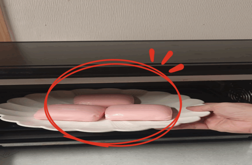 이제부터 비누는 전자레인지에 돌려서 써야합니다. 밖에서 요긴하게 쓰는 생활꿀팁