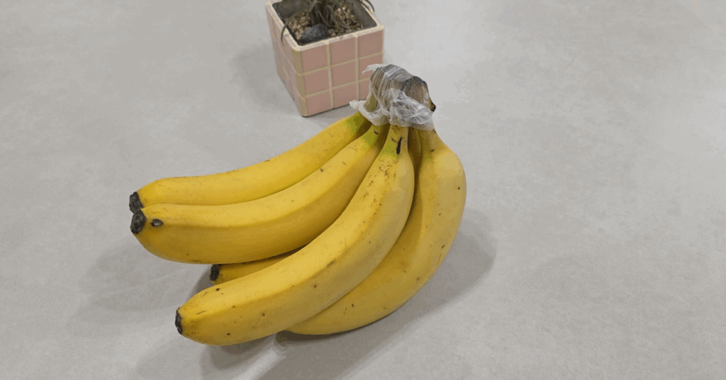 바나나 보관법 핵심 3가지로 갈변을 늦추는 방법을 소개합니다. 바나나 오래 보관, 바나나 보관 방법, 바나나 실온보관·바나나 냉장 보관 팁까지 한 번에 정리!