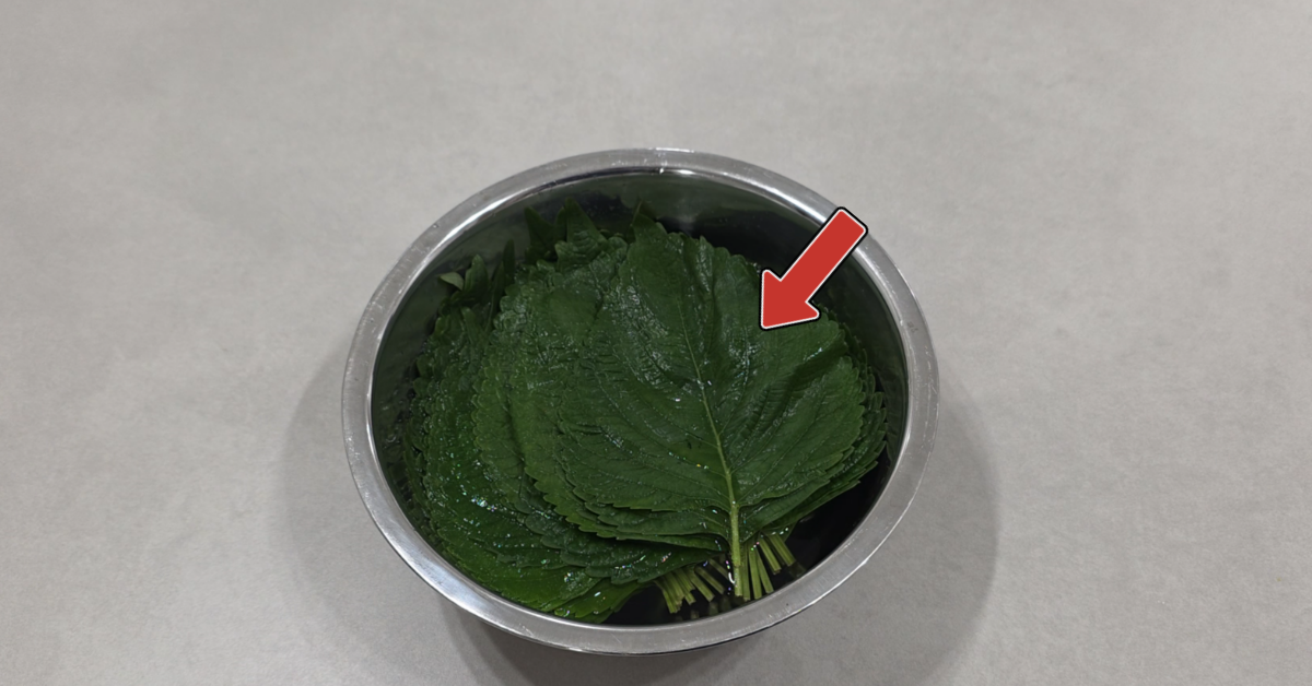 제대로된 깻잎 보관법