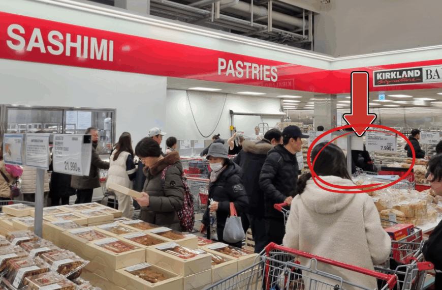 25년 11월 코스트코 추천템 공개!