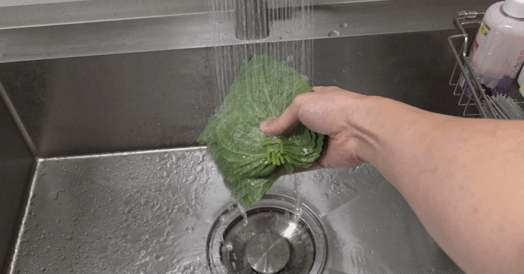 제대로된 깻잎 보관법 : 제대로 씻는 법