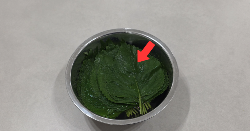 제대로된 깻잎 보관법