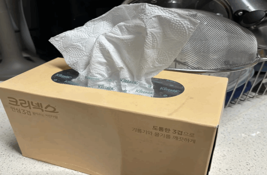 키친타올 다이소키친타올 핏물 구매가이드