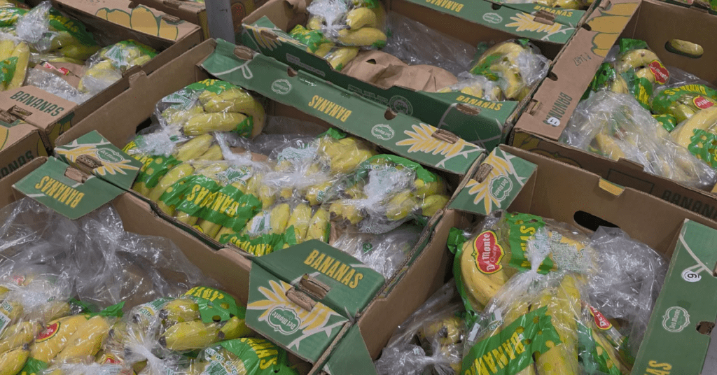 영하의 날씨에도 오픈런을 부르는 2025년 역대급 코스트코 식품 10가지를 소개합니다.