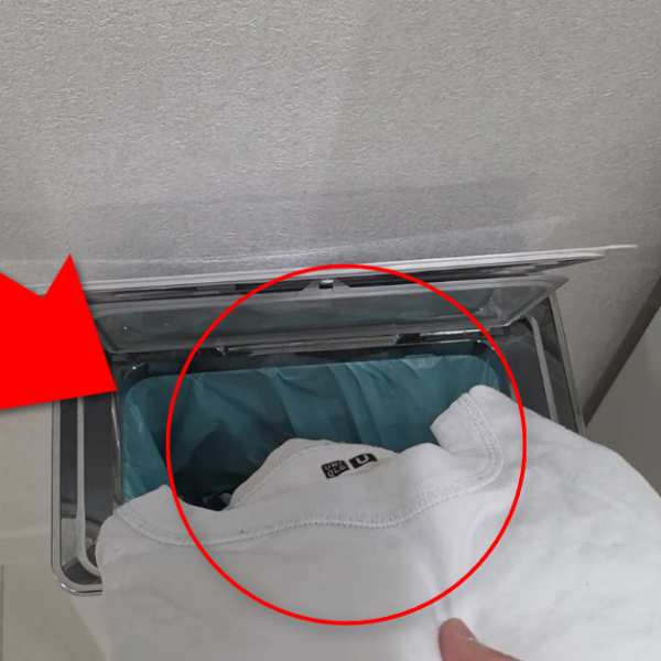 겨울에 옷장정리할 때 여름 옷버리기하면 진짜 손해입니다! 이거 돈으로 싹 다 바꿔줍니다. 지금 꼭 알아야할 계절옷 정리 꿀팁!!