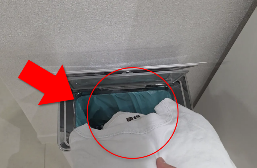 겨울에 옷장정리할 때 여름 옷버리기하면 진짜 손해입니다! 이거 돈으로 싹 다 바꿔줍니다. 지금 꼭 알아야할 계절옷 정리 꿀팁!! 15